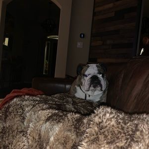 Meet your Posher, Tanner